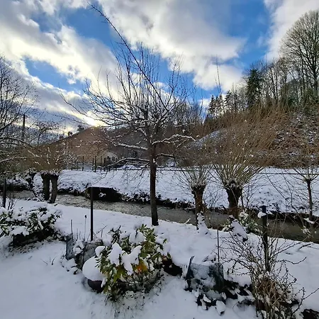 Maison Familiale En Lisière De Forêt
