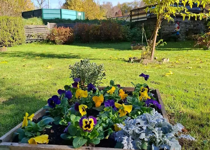 Maison Familiale En Lisière De Forêt *